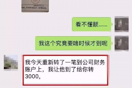 金家庄如何避免债务纠纷？专业追讨公司教您应对之策